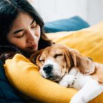 犬を『リラックス』させるための方法5つ　愛犬を安心させるために飼い主ができることとは(ブログ)