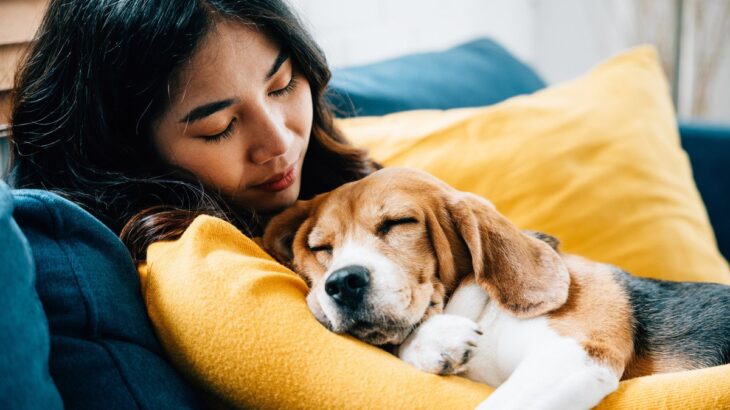 犬を『リラックス』させるための方法5つ　愛犬を安心させるために飼い主ができることとは(ブログ)