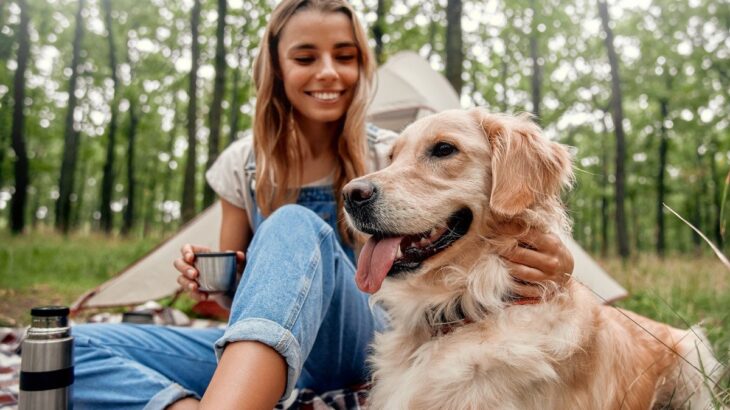 『大型犬が持っている魅力』5つ　温厚な犬種が多い？飼う前に心得ておくべき注意点まで(ブログ)