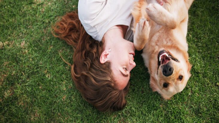 『飼い主から大切に育てられている犬』の特徴５選　愛されていない犬との大きな違いとは？(ブログ)