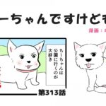 ちーちゃんですけどもっ【第313話】「先頭を走りたい」(ブログ)