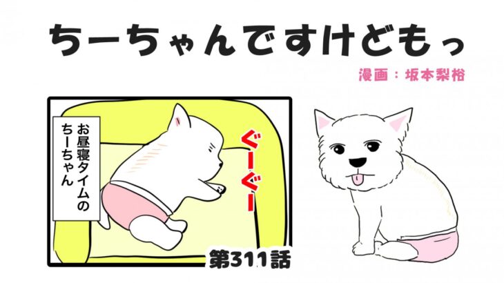 ちーちゃんですけどもっ【第311話】「季節を感じる寝方」(ブログ)