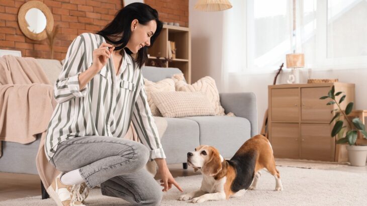 愛犬に何度言っても『合図が伝わらない』理由4選　原因は飼い主にあった？心得ておきたいこととは(ブログ)