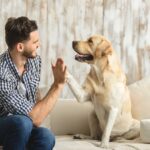 『犬が大好きな人』にみられる共通点7選　具体的な性格の特徴やライフスタイルまで(ブログ)