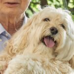 『おじいちゃんの犬の抱っこ』と『飼い主の犬の抱っこ』比較してみた結果…同じ犬とは思えない『まさかの光景』が220万表示「顔ｗｗ」と爆笑(ブログ)