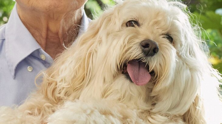 『おじいちゃんの犬の抱っこ』と『飼い主の犬の抱っこ』比較してみた結果…同じ犬とは思えない『まさかの光景』が220万表示「顔ｗｗ」と爆笑(ブログ)