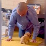 犬を飼うことに反対していた父→赤ちゃん犬をお迎えした結果…家族も予想しなかった『驚きの展開』に「優しさは伝染する」「家族まるごと変えた」(ブログ)