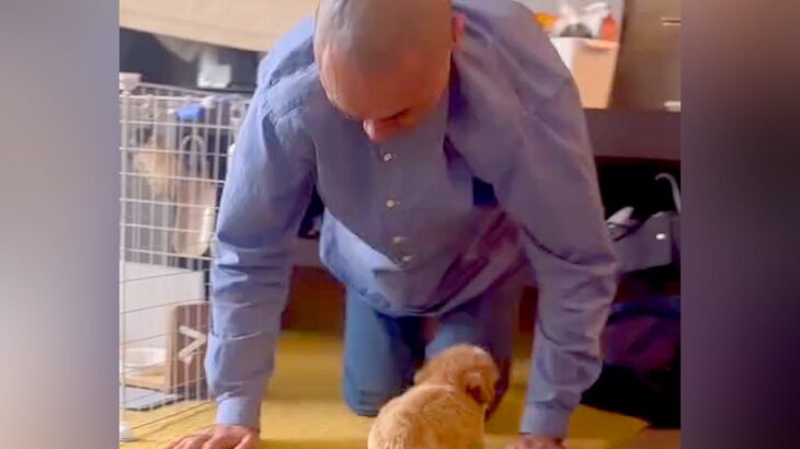 犬を飼うことに反対していた父→赤ちゃん犬をお迎えした結果…家族も予想しなかった『驚きの展開』に「優しさは伝染する」「家族まるごと変えた」(ブログ)