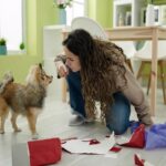 愛犬に『イライラ』したときに心掛けたい5つのこと　信頼関係を崩さないために飼い主が取るべき対処法とは(ブログ)