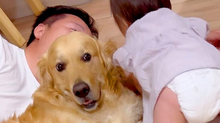 パパと大型犬が一緒に寝転がっていたら、赤ちゃんが羨ましがり…乱入して見せた『まさかの行動』に胸キュン「ヨシヨシ可愛すぎｗ」「癒された」(ブログ)