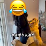 犬が苦手な友人に『撫でてみて』と言った結果…予想外だった『まさかの対応』が笑えると478万再生「登場する全員可愛い」「気持ちわかるｗ」(ブログ)