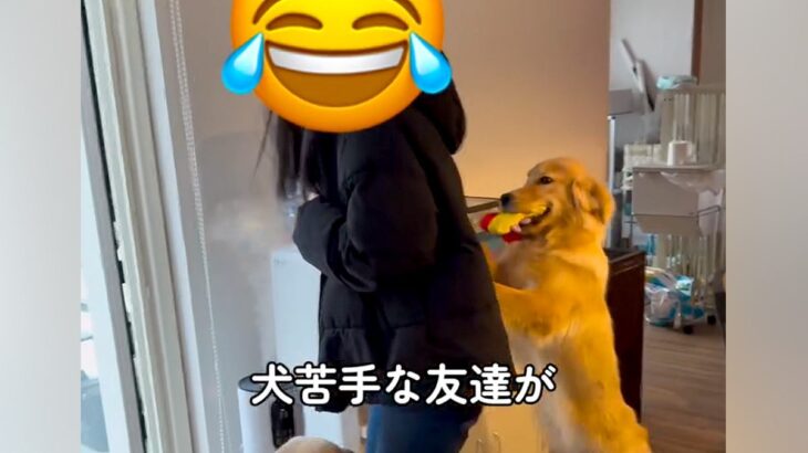 犬が苦手な友人に『撫でてみて』と言った結果…予想外だった『まさかの対応』が笑えると478万再生「登場する全員可愛い」「気持ちわかるｗ」(ブログ)