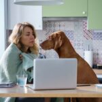 『貧乏な人』が犬を飼うリスク5選　お金に余裕がないと愛犬にどんなデメリットがあるの？(ブログ)