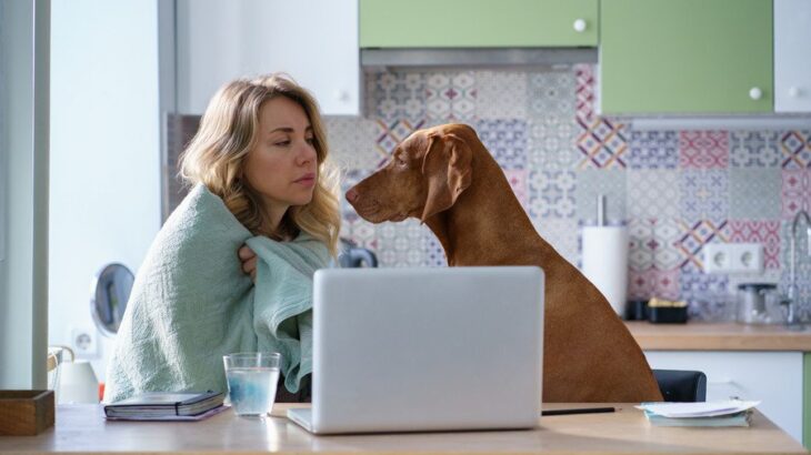 『貧乏な人』が犬を飼うリスク5選　お金に余裕がないと愛犬にどんなデメリットがあるの？(ブログ)