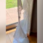 犬がカーテンをビリビリにしたので叱った結果…思わず頬が緩む『あざとすぎる行動』が44万再生「許さざるを得ないｗ」「知らんぷり可愛い」(ブログ)