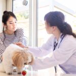犬が『調子悪い』ときにみせる行動7つ　異変を見逃さないために注意すべきポイントとは(ブログ)