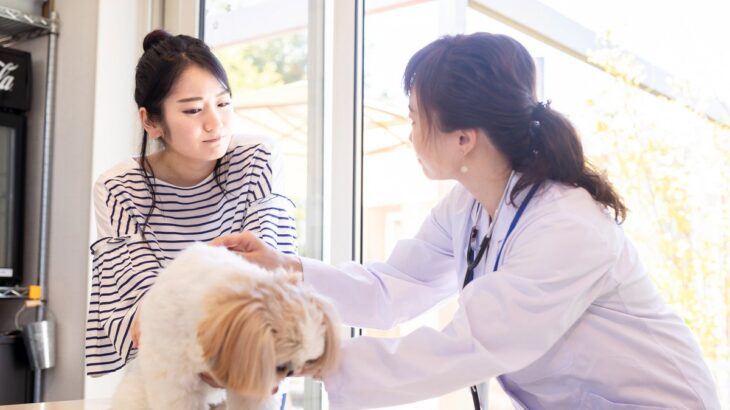 犬が『調子悪い』ときにみせる行動7つ　異変を見逃さないために注意すべきポイントとは(ブログ)