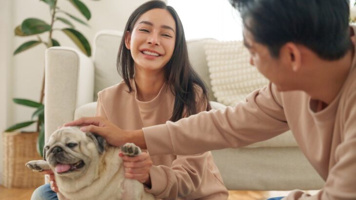 愛犬を『幸せ』にするために飼い主ができること7つ　お互いが満足した暮らしを送る秘訣とは(ブログ)