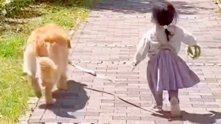 赤ちゃんの頃から大型犬たちと一緒に育ってきた女の子…涙が出るほど尊い『6年間の軌跡』が5万再生　絆感じる数々の光景に思わず感動(ブログ)