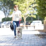 犬が亡くなってしまった『拾い食い』の事例5つ　不測の事態を避けるために欠かせない意識や対策法とは(ブログ)