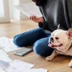 『費用がかかる犬』の特徴5選　特にお金が必要なワンコの共通点や注意点まで解説(ブログ)