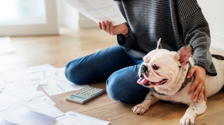 『費用がかかる犬』の特徴5選　特にお金が必要なワンコの共通点や注意点まで解説(ブログ)