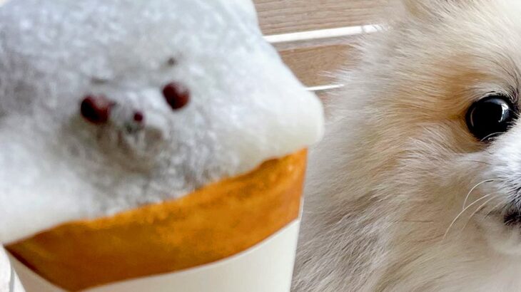 犬型の可愛いクレープを購入→シャイな犬に見せてみた結果…『まさかの光景』に4万以上のいいね集まる「可愛いｗ」「気まずそうで草」(ブログ)