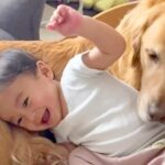 小さな男の子が大型犬のお腹にコテン→大型犬も“あご乗せ”してみた結果…まさかの『予想外すぎる反応』に「微笑ましすぎる」「ドンマイ」(ブログ)