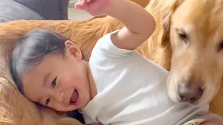 小さな男の子が大型犬のお腹にコテン→大型犬も“あご乗せ”してみた結果…まさかの『予想外すぎる反応』に「微笑ましすぎる」「ドンマイ」(ブログ)