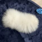 スマホ整理中に『謎の白い綿の写真』を発見して…愛おしすぎる『まさかの正体』に2万いいね「耳かきの上についてるやつ」「ケセランパサラン」(ブログ)
