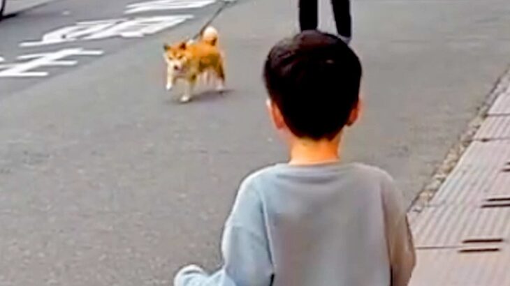 火災で離れ離れになった犬→３日ぶりの再会を果たした結果…涙が溢れる『あまりにも尊い瞬間』に「本当によかった」「泣けてきた」と感動の声(ブログ)