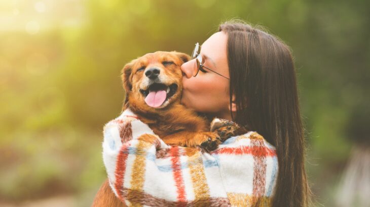 犬が『抱っこ』されているときの心理５つ　喜んでいるとは限らない？愛犬に合わせたスキンシップを心がけよう(ブログ)