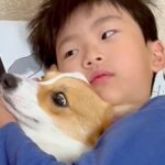 転がる男の子が『犬にヘッドロックをかけてる』と思ったら…意外すぎた『まさかの光景』が415万再生「幸せそうｗ」「温かいもんね」と絶賛(ブログ)
