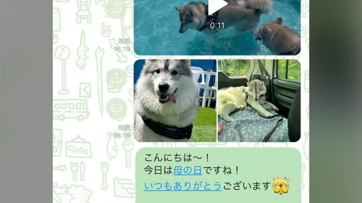 お義母さんに『大型犬が遊ぶ写真』をLINE→届いた返信が…想定外だった『まさかの疑い』に「倍はあって草」「なんて大きいモフモフｗ」の声(ブログ)