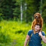 犬を『おんぶ』するのはNG？起こりうるリスクや正しい抱き上げ方を解説(ブログ)