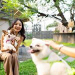 愛犬を『他の犬と交流』させるときに守るべきルール5つ　トラブルに繋がりかねない行動は控えよう(ブログ)