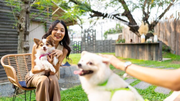 愛犬を『他の犬と交流』させるときに守るべきルール5つ　トラブルに繋がりかねない行動は控えよう(ブログ)