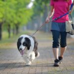 犬の『リード』正しい使い方とは？愛犬を危険に晒している可能性も…事故を防ぐために意識すべきことまで(ブログ)
