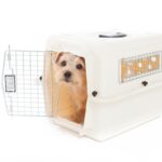 犬がケージから脱走してしまう心理3選　未然に防ぐためにするべき対応とは？(ブログ)