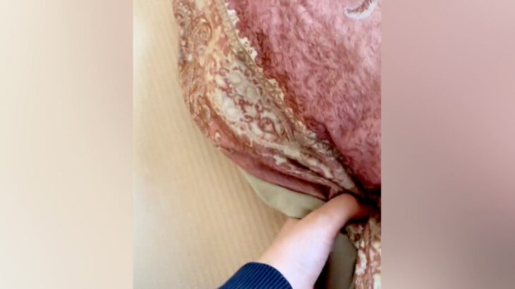 朝、犬がなかなか起きてこないので強制的に布団をめくったら…まさかの『子どものようにぐずる光景』が43万再生「天使」「膨らんでるの可愛い」(ブログ)