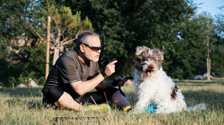 犬から『尊敬される』飼い主の特徴３つ　愛犬からリスペクトされるために意識したいこととは(ブログ)