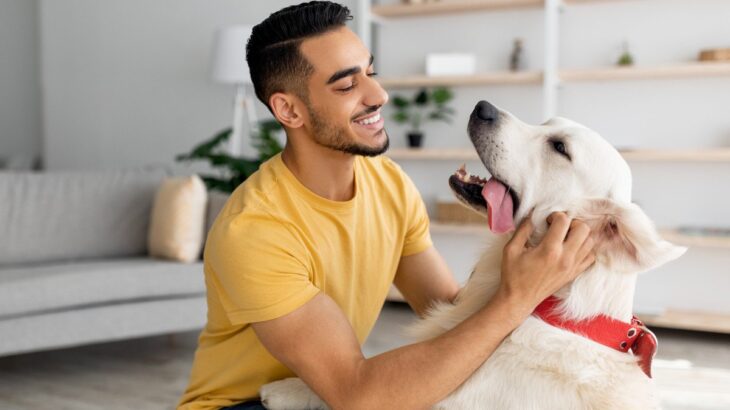 犬から『愛情』を感じる7つの瞬間　飼い主の愛犬はどう？見逃したくない仕草とは(ブログ)