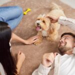 犬が人間のことを『友達だと思っている』ときにする行動5選　愛犬に仲間だと思ってもらう方法とは？(ブログ)