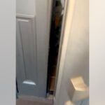 玄関を開けたら『いないはずの大型犬』が…もはや笑うしかない”衝撃的な光景”と『まさかの結末』が25万再生「大胆に破壊されてて草」と爆笑(ブログ)
