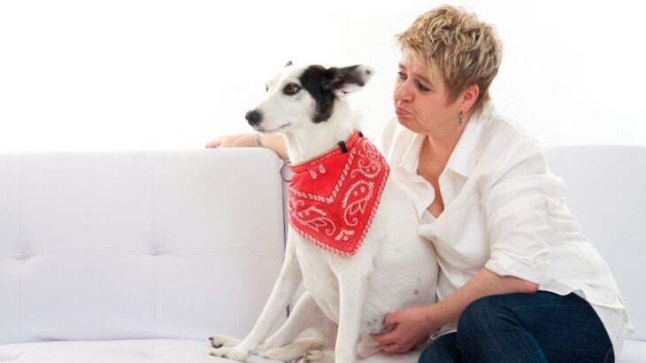 犬から『馬鹿にされやすい人』の特徴5選　今すぐに直すべき飼い主の行動や愛犬に尊敬してもらう秘訣まで(ブログ)