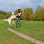 犬が急に『興奮』するのはなぜ？4つの心理から落ち着かせるための対処法まで(ブログ)