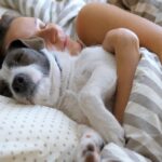愛犬と一緒に寝ても大丈夫？具体的な問題や飼い主が注意すべきポイントまで(ブログ)