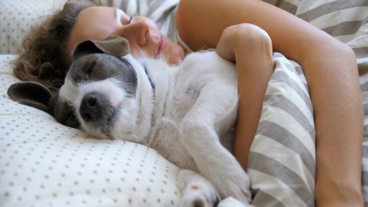 愛犬と一緒に寝ても大丈夫？具体的な問題や飼い主が注意すべきポイントまで(ブログ)