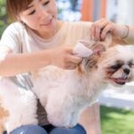 犬を『トリミング』する頻度はどれくらい？犬種や年齢別の目安から定期的なカットの必要性まで(ブログ)