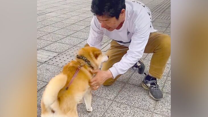 出張帰りのパパを犬と迎えに行った結果→久々の再会で『熱烈大歓迎』かと思ったら…予想外だった『まさかの光景』が55万再生「クールで草」(ブログ)